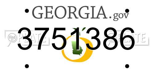 3751386 Georgia License Plate