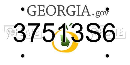 37513S6 Georgia License Plate