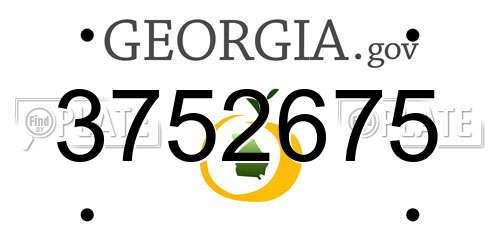 3752675 Georgia License Plate