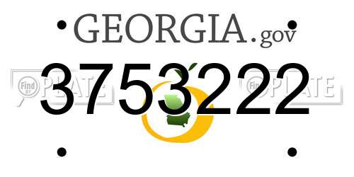 3753222 Georgia License Plate