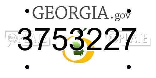 3753227 Georgia License Plate