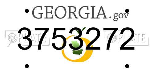 3753272 Georgia License Plate