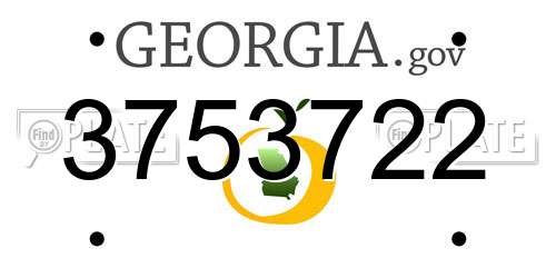 3753722 Georgia License Plate
