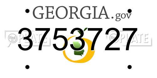 3753727 Georgia License Plate