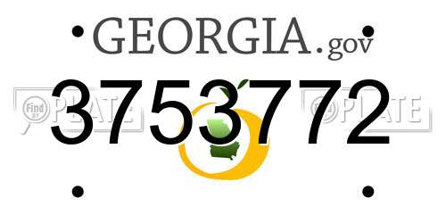 3753772 Georgia License Plate