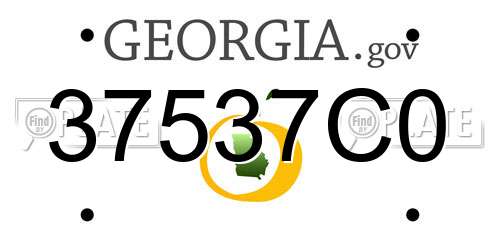 37537C0 Georgia License Plate