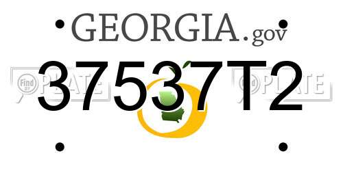 37537T2 Georgia License Plate