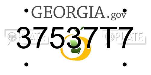 37537T7 Georgia License Plate