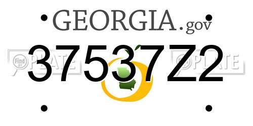 37537Z2 Georgia License Plate