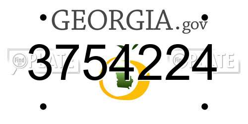 3754224 Georgia License Plate