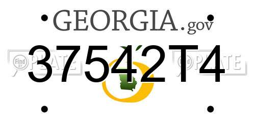 37542T4 Georgia License Plate
