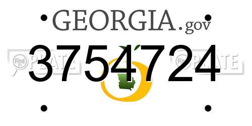 3754724 Georgia License Plate