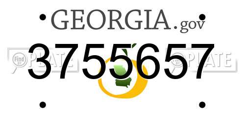3755657 Georgia License Plate