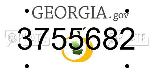 3755682 Georgia License Plate