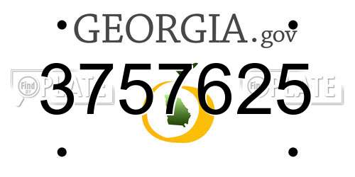 3757625 Georgia License Plate