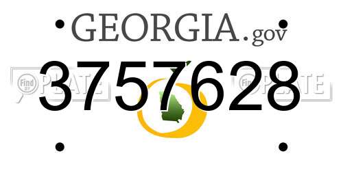 3757628 Georgia License Plate