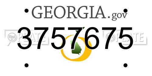 3757675 Georgia License Plate