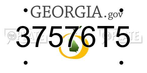 37576T5 Georgia License Plate