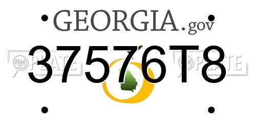 37576T8 Georgia License Plate