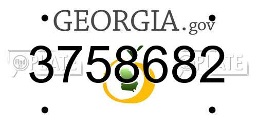 3758682 Georgia License Plate