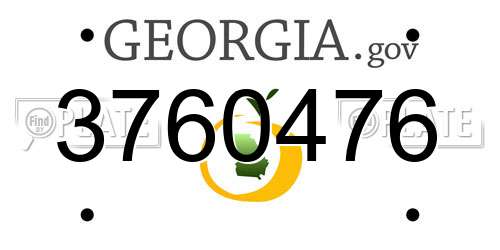 3760476 Georgia License Plate