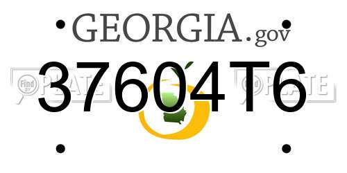 37604T6 Georgia License Plate