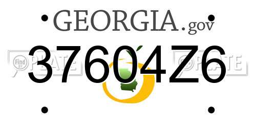 37604Z6 Georgia License Plate