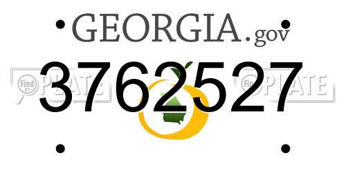 3762527 Georgia License Plate
