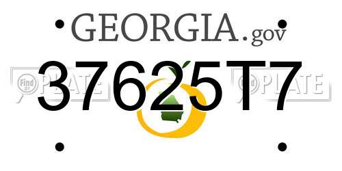 37625T7 Georgia License Plate