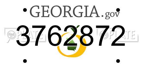 3762872 Georgia License Plate