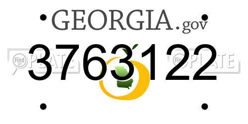 3763122 Georgia License Plate