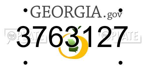 3763127 Georgia License Plate