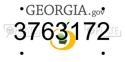 3763172 Georgia License Plate