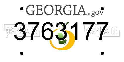 3763177 Georgia License Plate