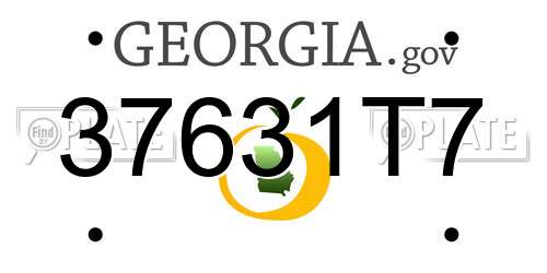 37631T7 Georgia License Plate