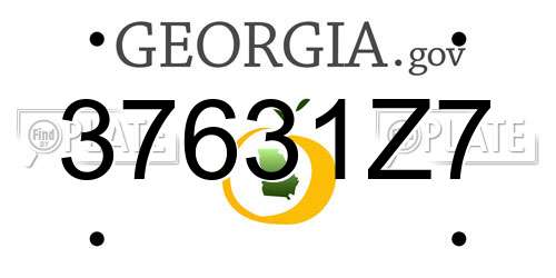 37631Z7 Georgia License Plate