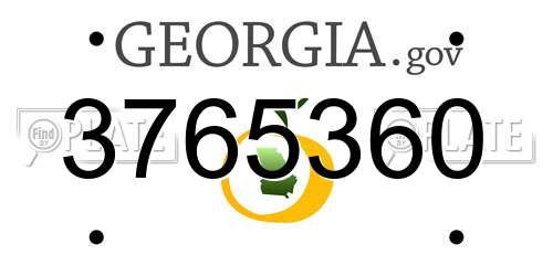 3765360 Georgia License Plate