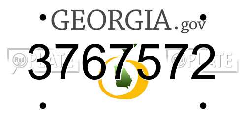3767572 Georgia License Plate