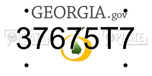 37675T7 Georgia License Plate