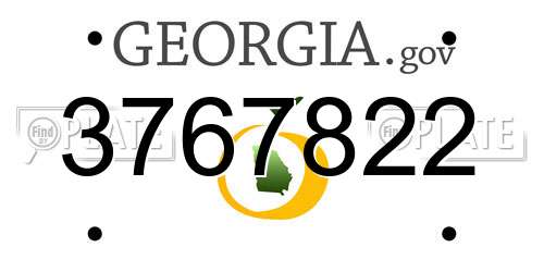 3767822 Georgia License Plate