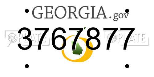 3767877 Georgia License Plate