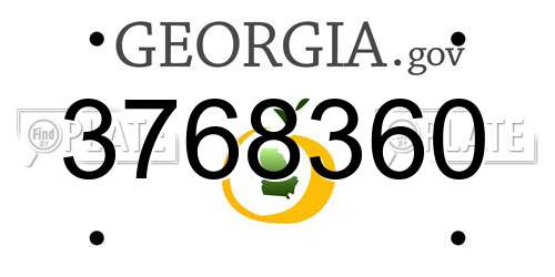 3768360 Georgia License Plate