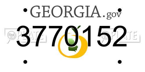 3770152 Georgia License Plate