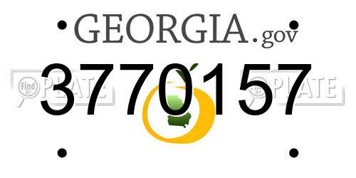 3770157 Georgia License Plate
