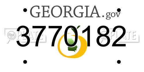 3770182 Georgia License Plate