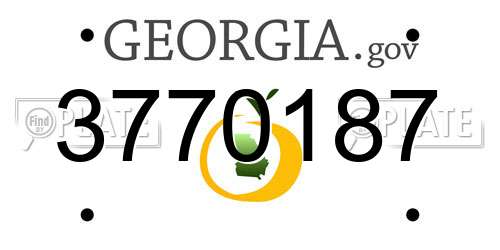3770187 Georgia License Plate