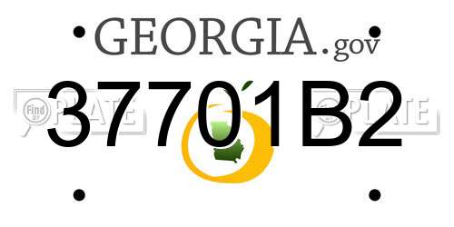 37701B2 Georgia License Plate