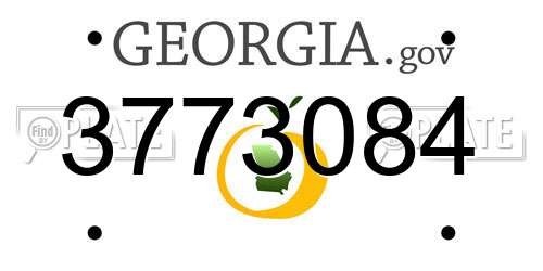 3773084 Georgia License Plate