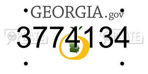 3774134 Georgia License Plate