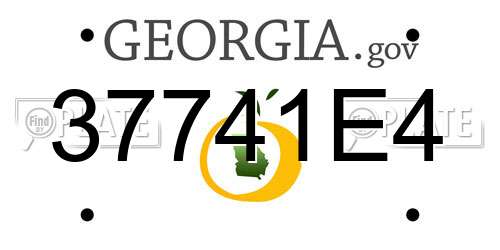 37741E4 Georgia License Plate